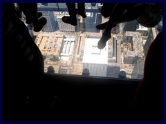 Views from Sears Tower 72  - Skydeck Ledge